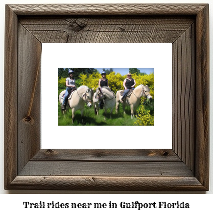 trail rides near me in Gulfport, Florida